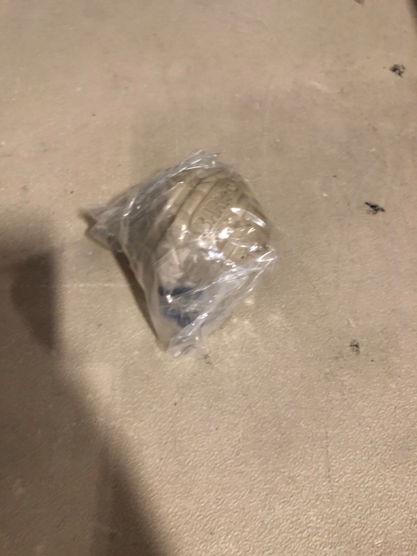 Photo 1 of BARK Ricochet the Nutria Tough Dog Chew Toy, Grey 