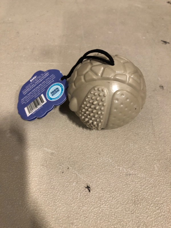 Photo 1 of BARK Ricochet the Nutria Tough Dog Chew Toy, Grey 