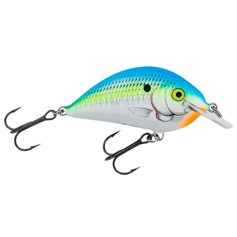 Photo 1 of Bagley Pro Sunny B07 - CITRUS SHAD