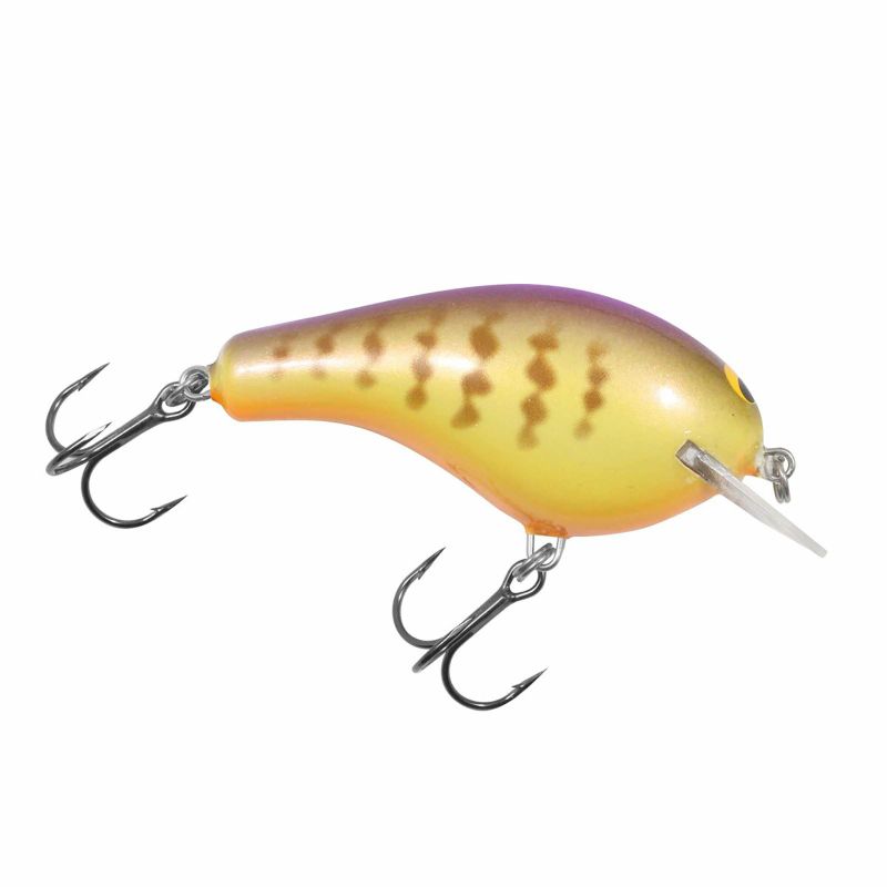 Photo 1 of Bagley Balsa B Purple Gill 2 1/2 in.