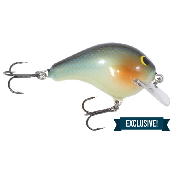 Photo 1 of Bagley Balsa B1 Squarebill Crankbait - 2" - Injured Shad