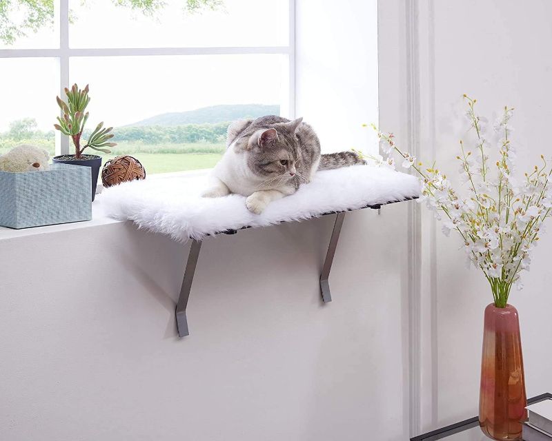 Photo 1 of Coziwow Cat Window Perch-Mounted Shelf Bed for cat-Funny Sleep DIY Kitty Sill Window Perch- Washable Foam Cat Seat