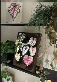 Photo 1 of Bead Art Magnetic Wall Frame Kit with Perler Beads and Stencils