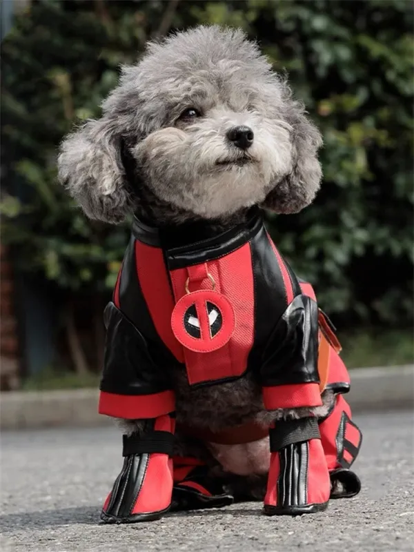 Photo 1 of Deadpool 3 &Wolverine Cosplay Dog Costume Belt With Shoes Outfits Wade Winston
