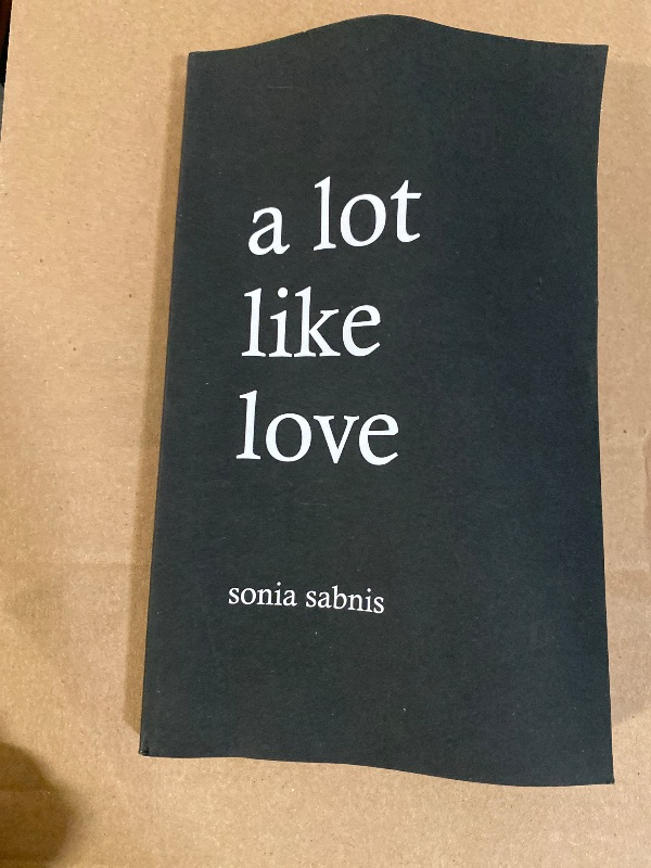 Photo 1 of A Lot Like Love
By Sonia Sabnis