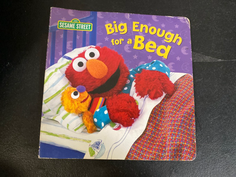 Photo 1 of Big Enough for a Bed (Sesame Street) By Apple Jordan
