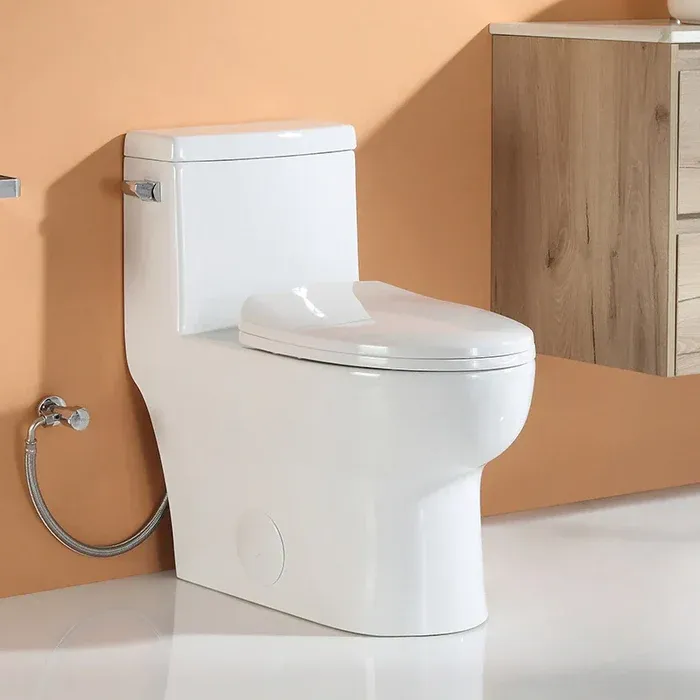 Photo 1 of HOROW Comfort Height Elongated Toilet Single Flush 1 Piece Toilet Model