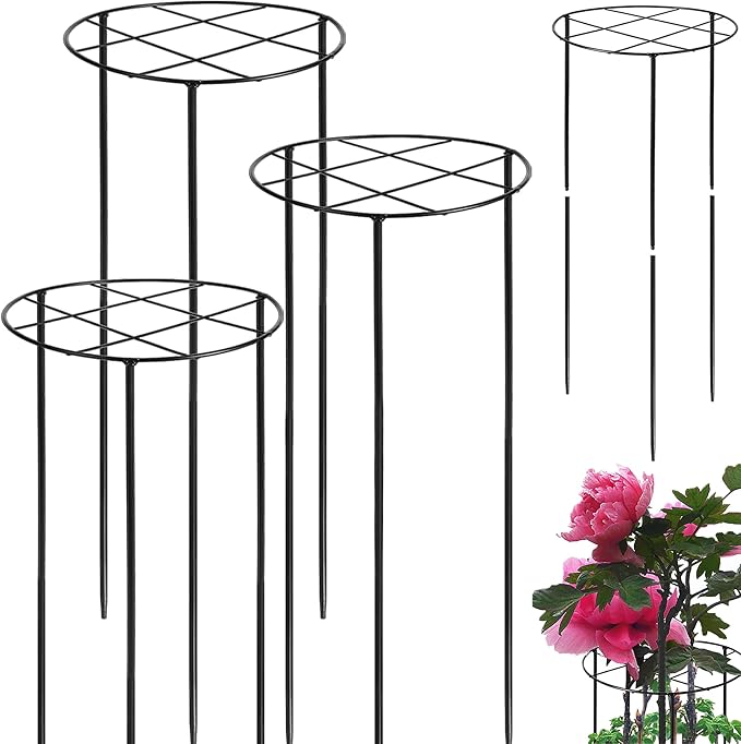 View 1 of 4 pcs 24 x16 largeoutdoor plant support Peony Cage
