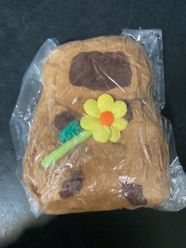 Photo 1 of Capybara Backpack Stuffed Animal Backpack