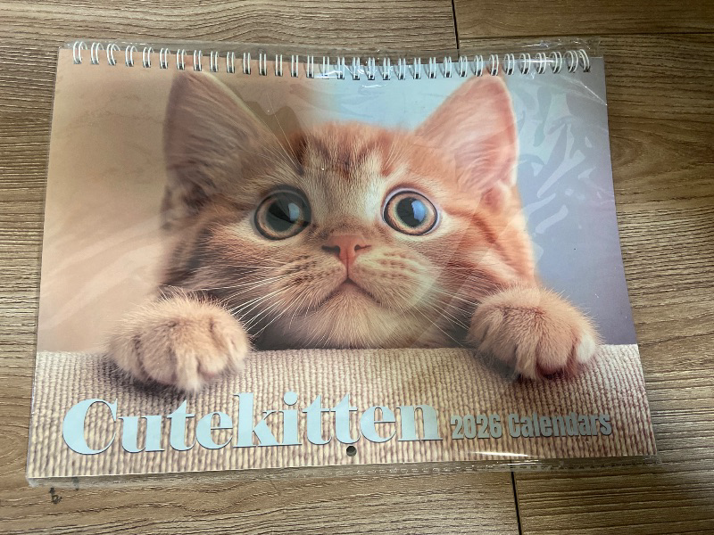 Photo 1 of Cat Calendar 2026 Calendar,Cute Kitten Wall Calendar 2026,Large Bookstore-Quality,Spiral-Bound Hanging Monthly Wall Planners for Kitchen & Office,Pet calendar - 11x17Inch