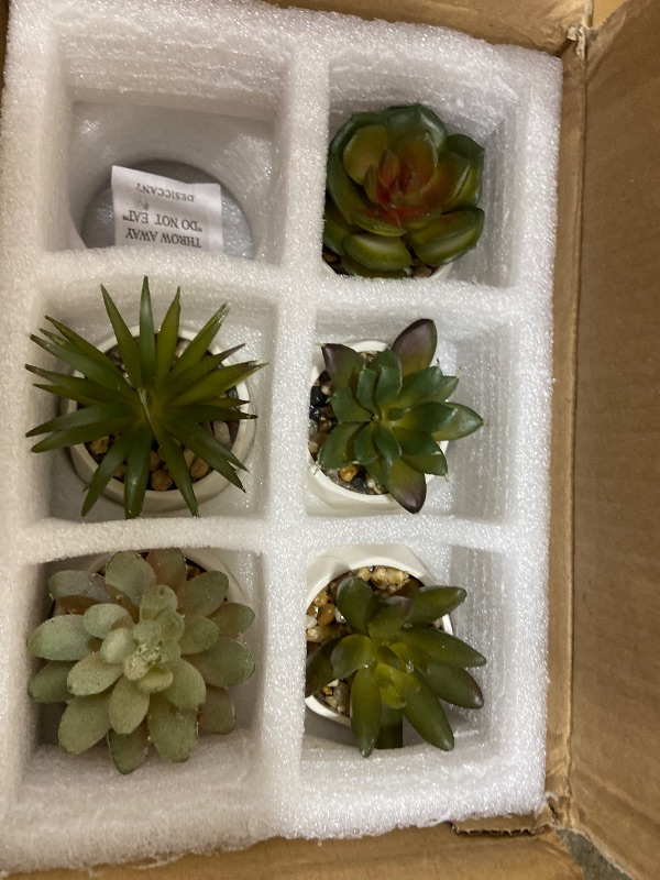 Photo 1 of ** 5 only**
MyGift Mini Assorted Green Faux Succulent, Indoor Fake Plants in Geometric Ceramic Pots, Set of 6,