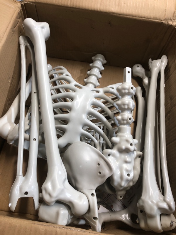 Photo 1 of (used)(unknown if complete) 2 Pack 36'' Posable Skeletons Halloween Decorations: 3 FT Life Size Skeleton with Full Body Movable Joints Plastic