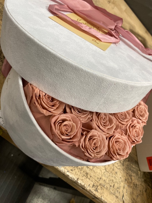 Photo 1 of 27 Flowers in a Luxury Suede Box, Birthday Gifts for Women, Preserved Flowers, Mothers Day Roses Gift for Mom, Dusty Rose