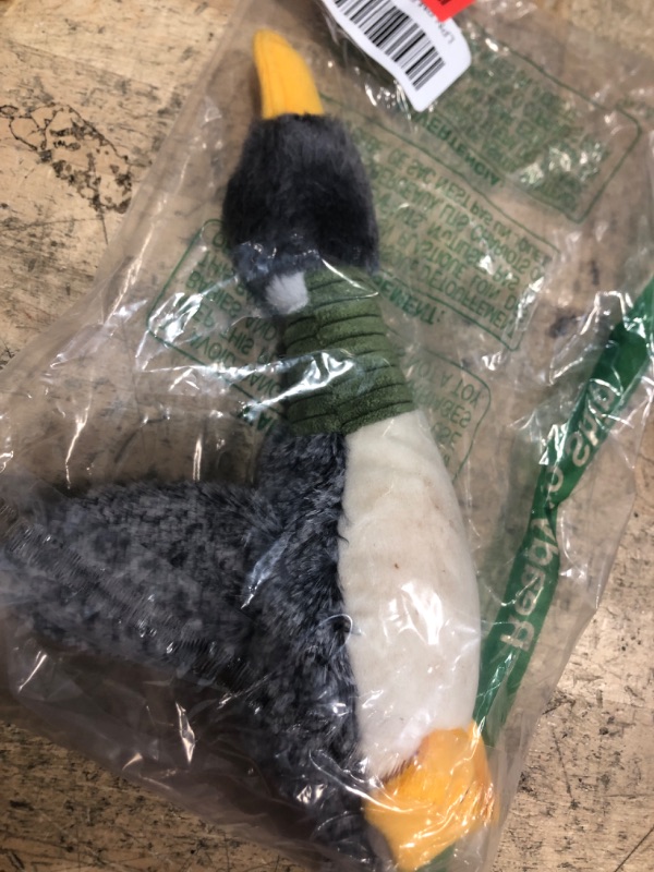Photo 1 of ****DIRTY*** Best Pet Supplies Interactive Squeaky Dog Chew Toy, Ideal Dog Toys for Chewers, Small, Medium & Large Dogs, and Fetch Lovers - Mallard Duck Wing (Gray), Small