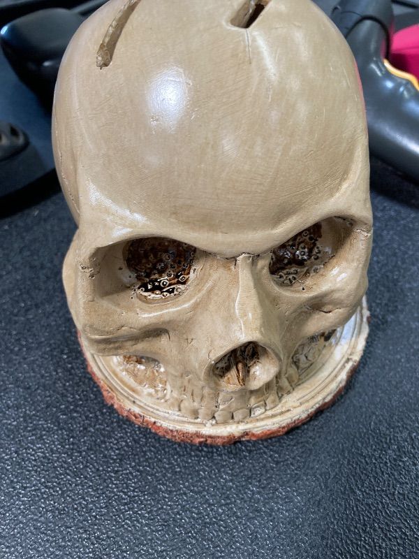 Photo 1 of ***NEEDS REPAIR***Skull Knife Holder for Kitchen, Skeleton Knife Stand, Horror Kitchen Storage Head Rack Kitchen Fruit Storage Rack Decoration, Scary Party Fruit Storage Rack Decoration***NEEDS REPAIR***