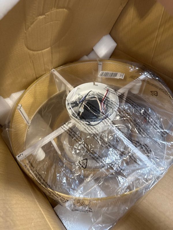 Photo 1 of 20'' Caged Ceiling Fans with Lights, Boho Flush Mount Ceiling Fan with Light, Rattan Bladeless with 6 Speeds, Low Profile Remote Control for Bedroom,Dining Room