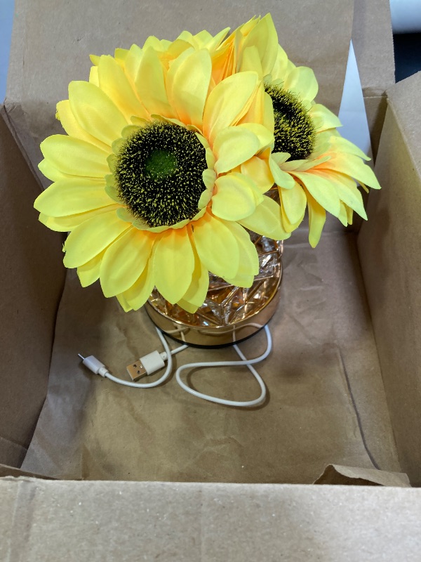 Photo 1 of AMWGIMI Sunflowers Flower Lamp,Rechargeable Cordless Touch Table Lamp,3-Colour Infinitely Dimming Small Night Light,Festival Restaurant Bedroom Bar Coffee Shop Birthday Gifts for Women Mom