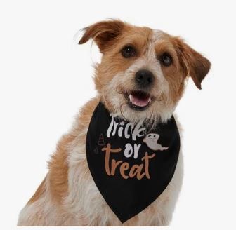 Photo 1 of M/L TRICK OR TREAT BANDANA FOR DOGS