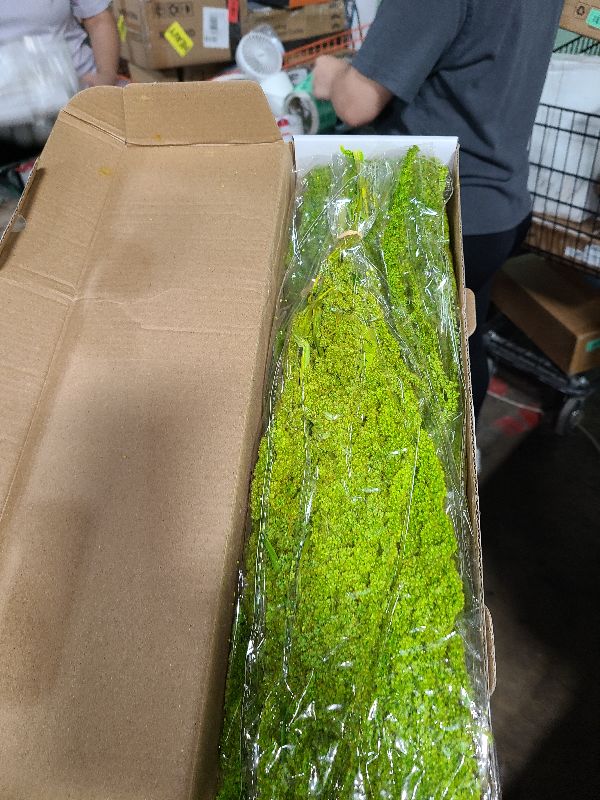 Photo 1 of 10Pcs Neon Green Dried Amaranthus Hanging Flowers – 23" Dyed Natural Preserved Flowers for Wedding Arch, Floral Garland, Rustic Vase Decor