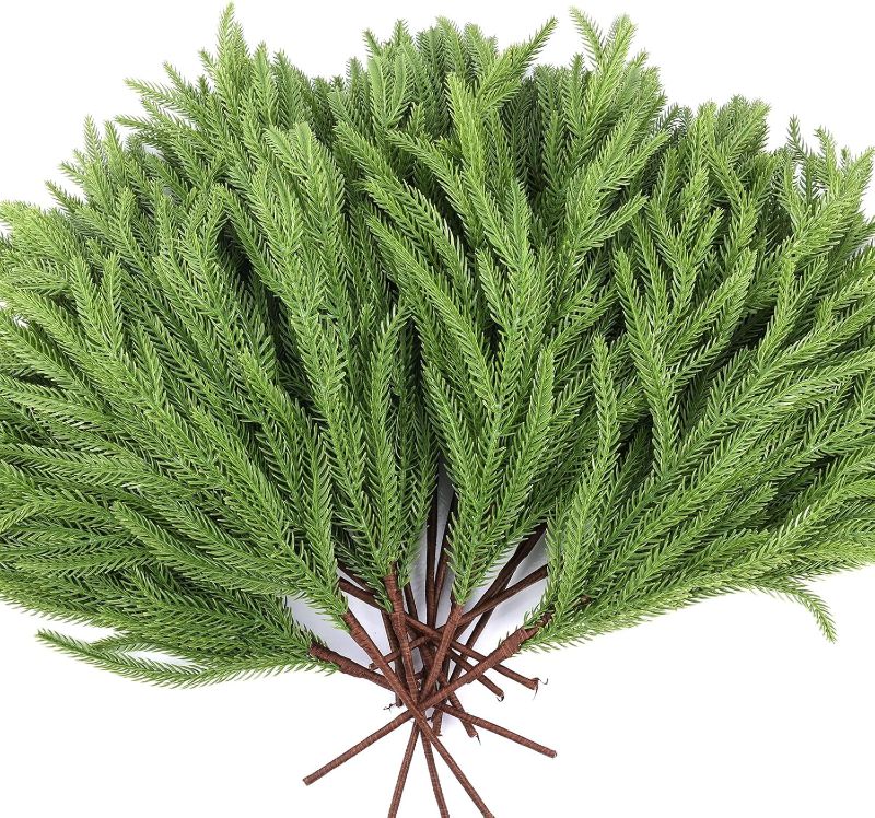 Photo 1 of 12 Pcs Artificial Norfolk Pine Branches, Norfolk Pine Artificial Pine Stems DIY Crafts Faux Christmas Greenary Norfolk Pine Branches for Xmas Wreath Garland Home Decor (12) 