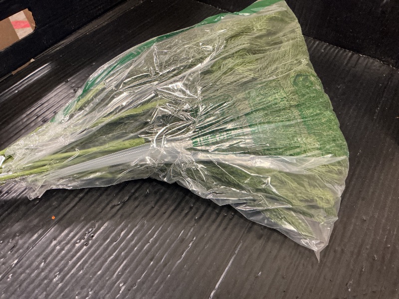 Photo 1 of 20 Pcs Christmas Norfolk Pine Branches -18" Real Touch Artificial Norfolk Pine Branch Faux Plants Stem Fake Greenery Pine Picks for Vase DIY Crafts Garland Wreath Home Indoor Outdoor Decoration