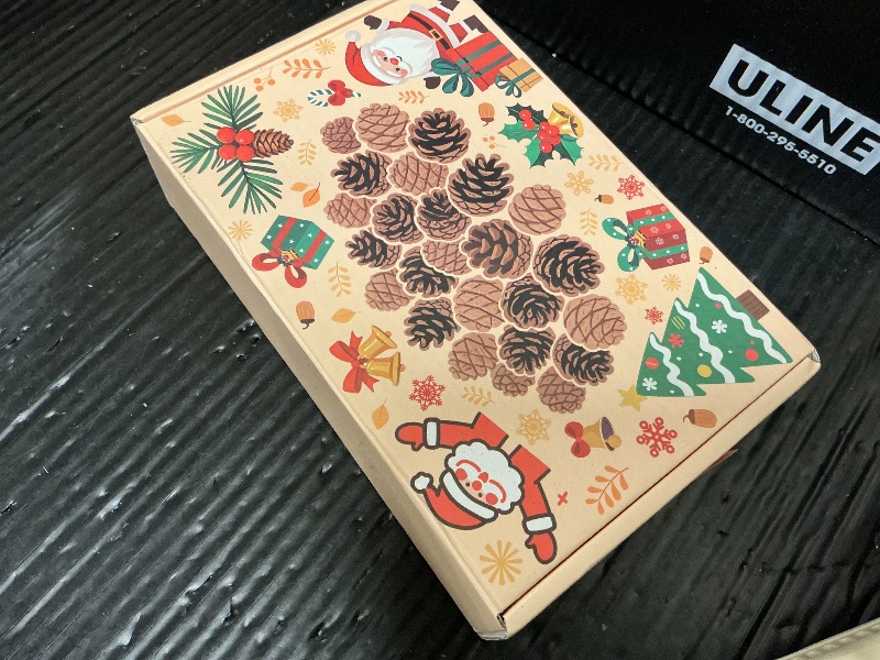 Photo 1 of 200PCS Christmas Natural Pine Cones Mini Fall Decorations Pinecones Ornaments Bulk Small Pine Cones for DIY Crafts Thanksgiving Fall Winter Christmas Wedding Decor Vase Filler Decor