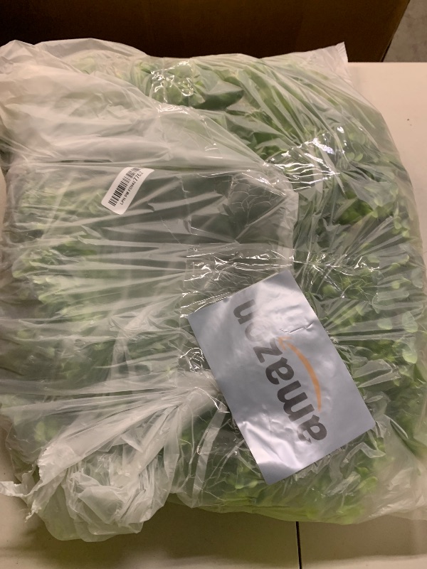 Photo 1 of 26'' Large Boxwood Wreath for Front Door, Porch, Window- Artificial Boxwood Leaves Greenery Outdoor Wreath for Home, Farmhouse Wall Decor- Spring, Summer, Fall, All Seasons (Green)