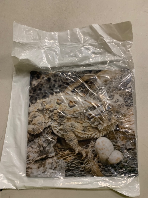 Photo 1 of 3dRose LLC 8 x 8 x 0.25 Inches Mouse Pad, USA, Texas, Rio Grande Valley, Horned Lizard, Jaynes Gallery (mp_94394_1)