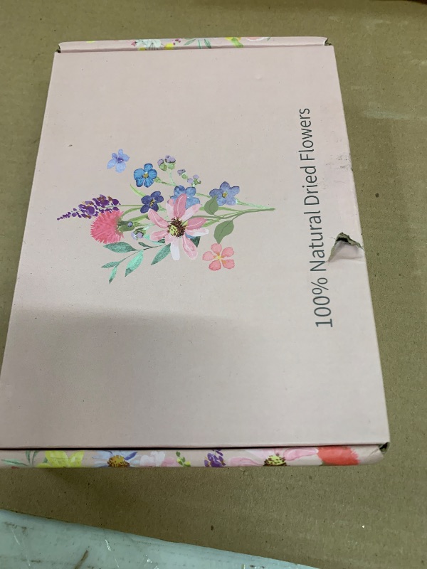 Photo 1 of 10 Pack Dried Flower Bouquets Mini Dried Flower with Stem Forget Me Not Dried Embossing Natural Flower Bundles Artificial Flower Dried Floral Arrangement for Vase DlY Wedding Decor (Forget Me Not)