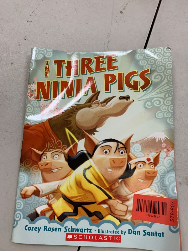 Photo 1 of The Three Ninja Pigs 
