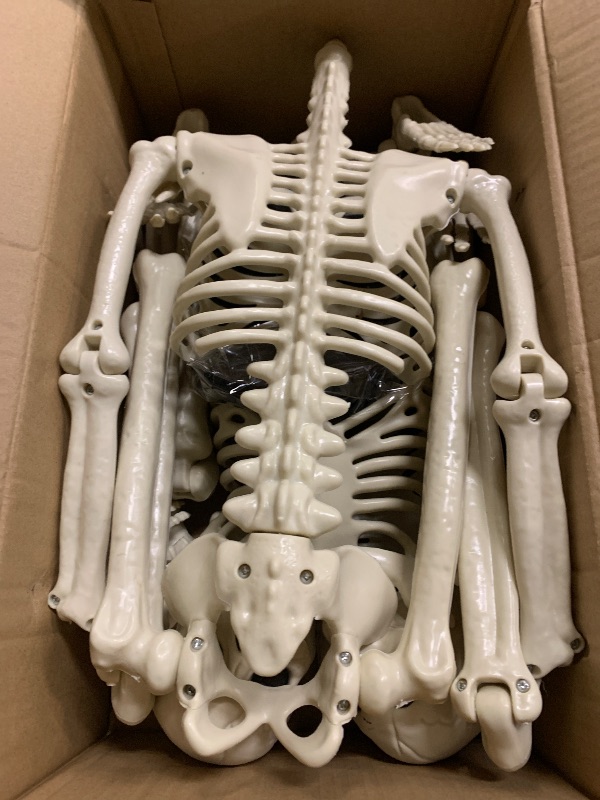 Photo 1 of 2 Pack 36" Halloween Skeleton Decorations, 3 ft Life Size Posable Skeleton Full Body with Movable Joints Plastic Skeleton for Yard Porch Garden Haunted House Graveyard Decoration