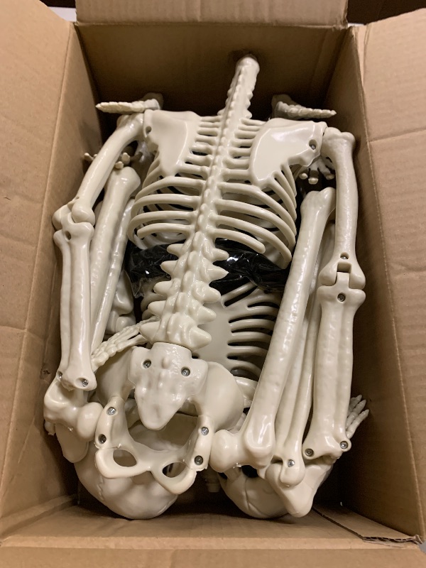 Photo 1 of 2 Pack 36" Halloween Skeleton Decorations, 3 ft Life Size Posable Skeleton Full Body with Movable Joints Plastic Skeleton for Yard Porch Garden Haunted House Graveyard Decoration