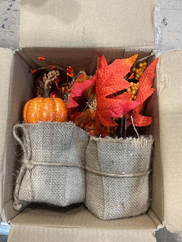 Photo 1 of 2 Styles Thanksgiving Decorations - 2 Pack 10 Inch Fall Decorations Tabletop Fall Tree Thanksgiving Table Centerpieces Maple Tree with Pumpkin Leafed Berry Wheat Thanksgivings Centerpieces for Tables