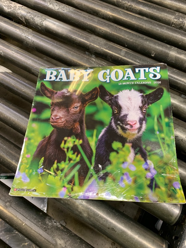 Photo 1 of Baby Goats 2026 12" x 12" Wall Calendar