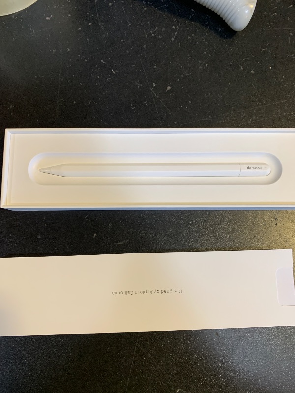 Photo 1 of Apple Pencil (USB-C): Device Compatibility Check Required - Pixel-Perfect Precision, Tilt Sensitivity, Perfect for Note-Taking, Drawing, and Signing Documents. Charges and Pairs with USB-C