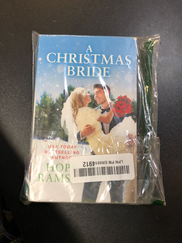 Photo 1 of A Christmas Bride