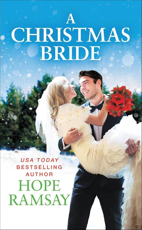 Photo 1 of A Christmas Bride