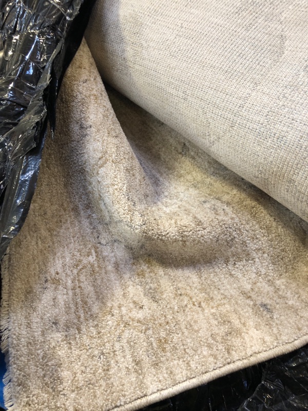 Photo 1 of 120 INCH TAN RUG