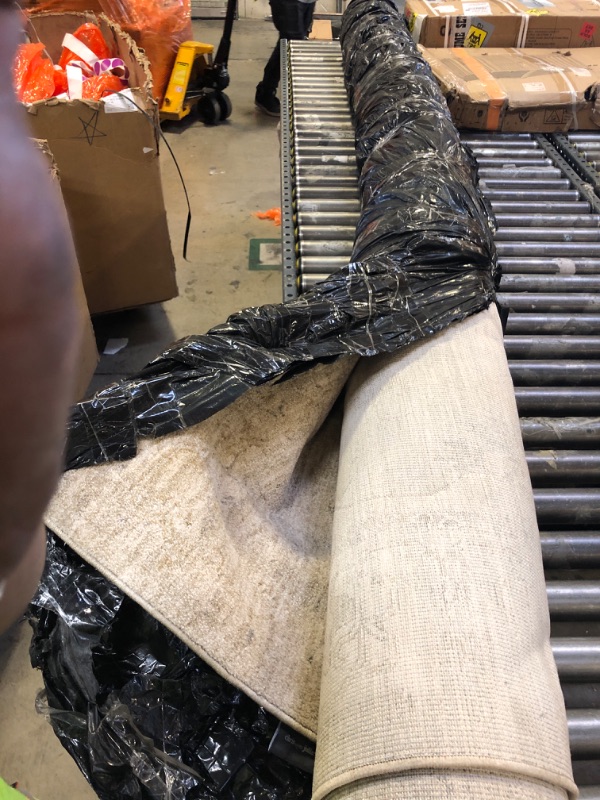 Photo 1 of 120 INCH TAN RUG