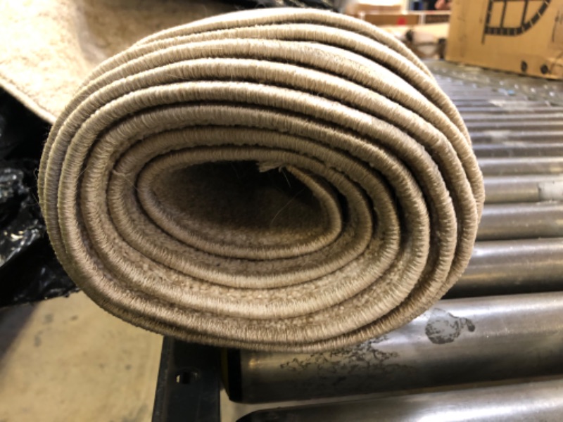 Photo 1 of 120 INCH TAN RUG