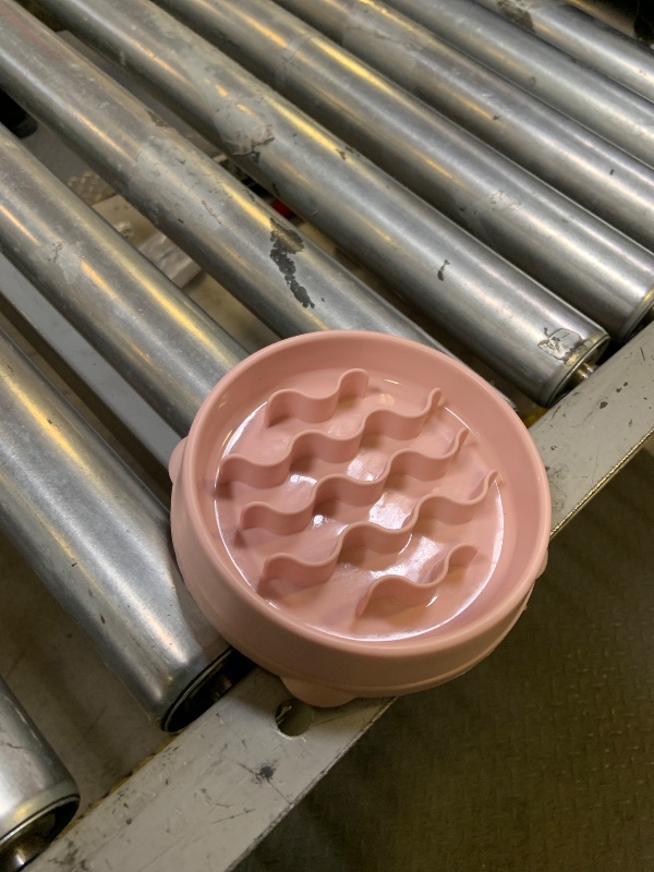 Photo 1 of Outward Hound Small Fun Feeder Slow Bowl, Puzzle for Fast Eaters, Puppies, Cats & Small Dogs, Wet or Dry Food, Helps Prevent Bloat & Aid Digestion, 3/4 Cup Capacity, Non-Slip, Made Without BPA, Pink