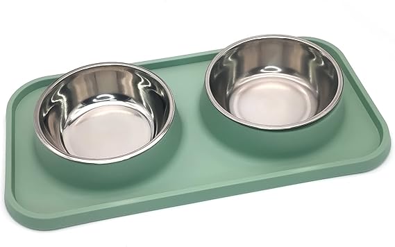 Photo 1 of BNOSDM Double Dog Food Bowls Stainless Steel Dog Food and Water Bowls with Non-Spill Plastic Mat Pet Cat Feeder Bowl Set for Puppy Cats Kitten Small Medium Dogs Green
