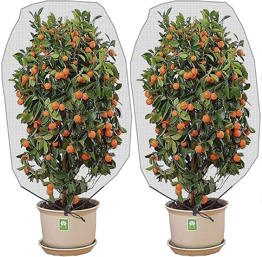 Photo 1 of Alpurple 2 Pcs Insect Bird Barrier Netting Mesh with Drawstring- 4.9 x 3.2 Ft Garden Bug Netting Plant Cover- Fruit Tree Net for Protect Plant Fruits Citrus Flower from Insect Bird Eating
