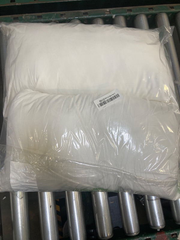 Photo 1 of 12x20 2pack insert pillow