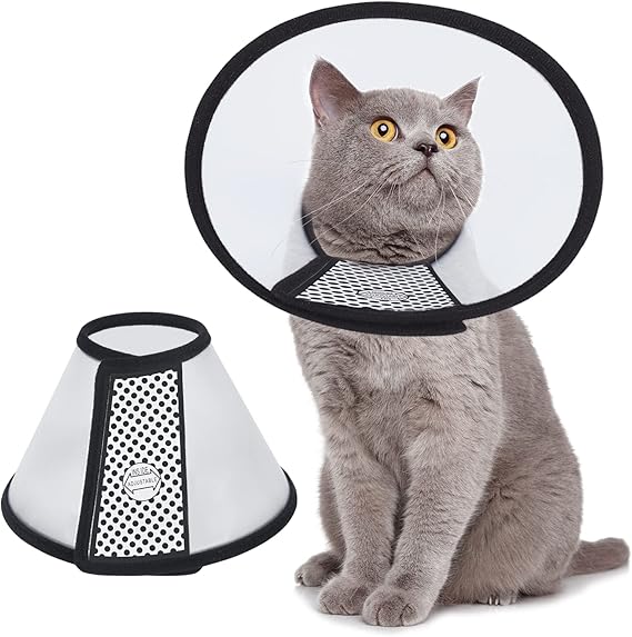 Photo 1 of Vivifying Cat Cone, Adjustable Recovery Pet Cone, 8.1 Inches Lightweight Plastic Elizabethan Collar for Cats, Mini Dogs and Rabbits (Black)
