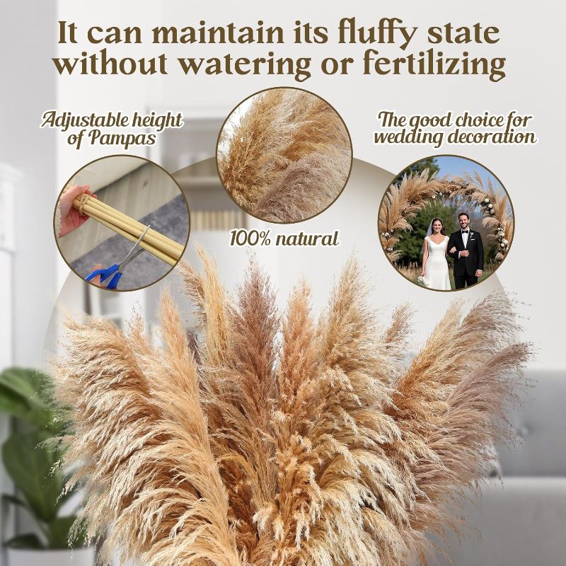 Photo 1 of 40" inch 12 pcs Natural Pampas Grass Decor Tall,Boho Home Decor,Pompas Grass,Dried Tall Pampas Grass for Wedding Floral Arrangements,Farmhouse,Party,Farmhouse,Wall,Bedroom Decor
