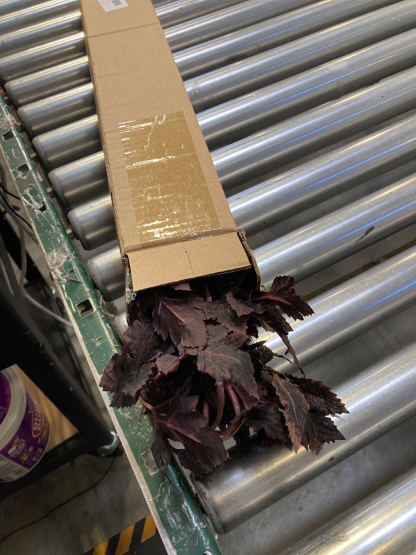 Photo 1 of 4 Pcs 21 Inches Artificial Dusty Plum Cimicifuga Stems Faux Fall Leaves Branch for Vase Autumn Floral Spray Halloween Thanksgiving Mantle Table Decor Fall Decorations for Home