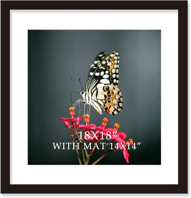 Photo 1 of 18x18 Frame Black With Mat 14x14 Solid Wood Picture Frames Wall Mounting (1 pack, 18x18 Inch)
