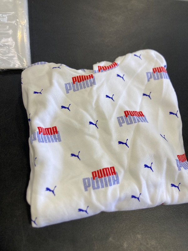 Photo 1 of Puma Essential Logo Power Graphic Pullover Hoodie
large 