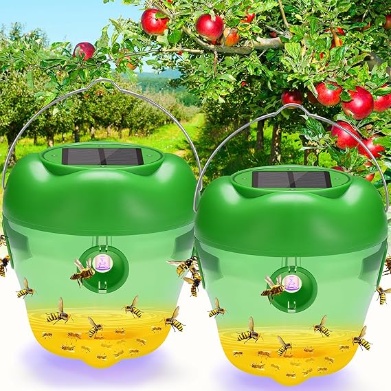 Photo 1 of 2 Pack Wasp Traps Style A